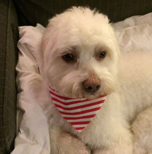 Meet your Posher, Nancy